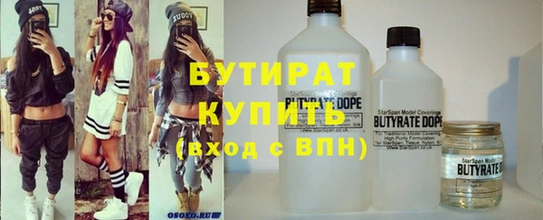 шишки Няндома