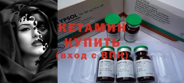 шишки Няндома