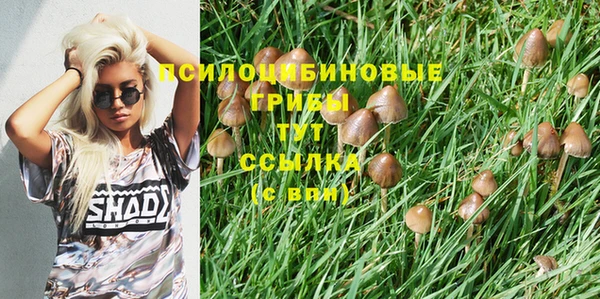 мяу мяу мука Нягань