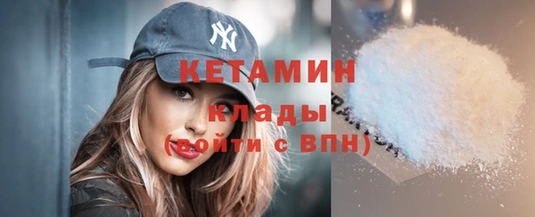 шишки Няндома