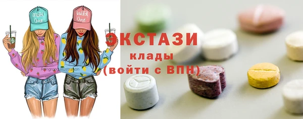 шишки Няндома
