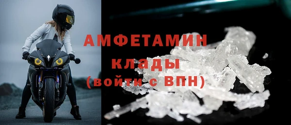 шишки Няндома