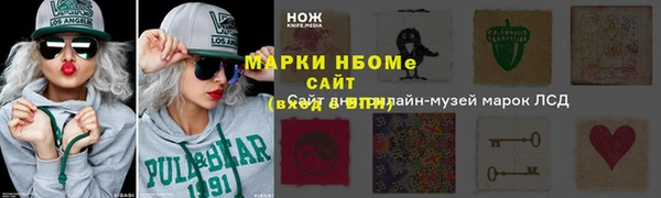 шишки Няндома