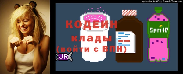 шишки Няндома
