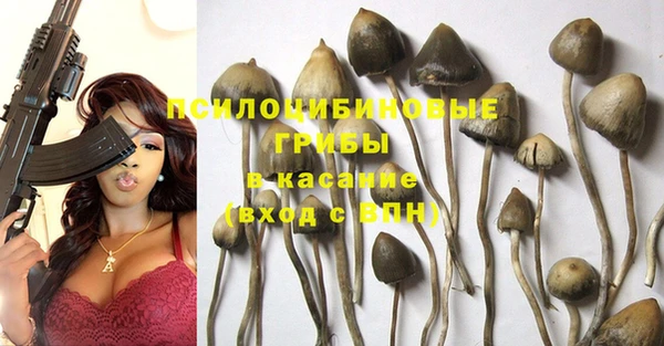 круглые Осинники