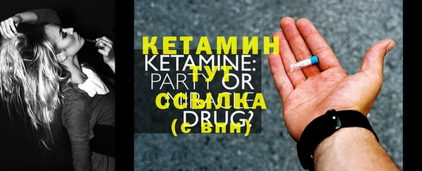 шишки Няндома