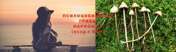 прущая мука Остров