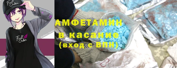 шишки Няндома