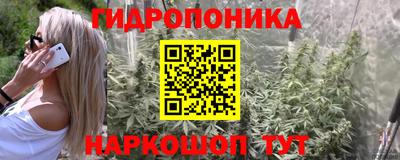 дживик Гатчина