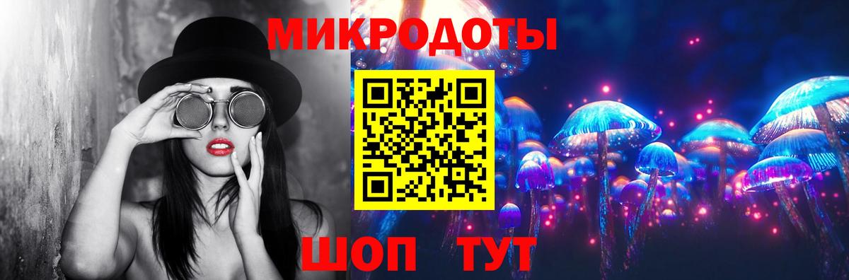 Галлюциногенные грибы Psilocybine cubensis  Псилоцибиновые грибы прущие грибы  Рязань  Вход с VPN 